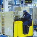 Forklift Computer For Cold Storage