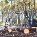 Maximizing Nordic Forest Harvester Productivity With Darveen RTC-I116